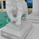 辽阳 白麻花岗岩动物异形石雕-大象