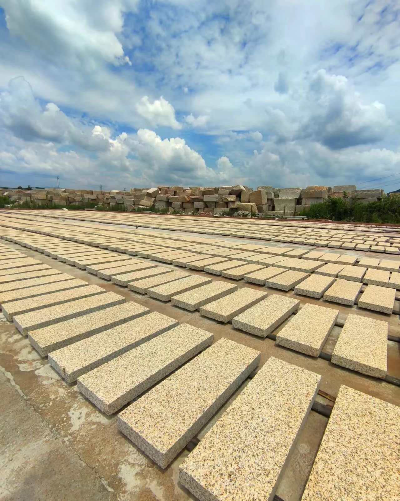 辽阳 黄金麻花岗岩荔枝面地铺石防护中